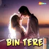 About Bin Tere Song